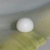 Clam Pearl Button Shape 3.2 ct with Flame