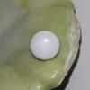 Clam Pearl Button Shape 3.2 ct with Flame
