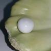 Clam Pearl Button Shape 3.2 ct with Flame