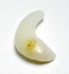 Clam Pearl Curved 19mm Yellowish