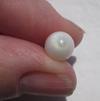 Clam Pearl Egg Shaped 4 carats 11mm with Flame