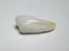 Clam Pearl Full Flame 19mm 6 carats Baroque Shape