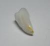 Clam Pearl Full Flame 19mm 6 carats Baroque Shape
