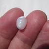 Clam Pearl Full Flame 3+ carats Oval Shaped