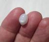 Clam Pearl Full Flame 3+ carats Oval Shaped