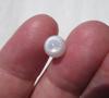 Clam Pearl Full Flame 3+ carats Oval Shaped