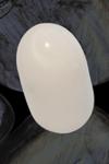 CLAM PEARL OVAL SHAPE  144ct