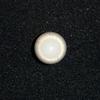 Clam Pearl with Flame  3.75 ct