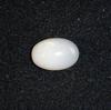 Clam Pearl with Flame  3.75 ct