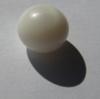 3.78 carats Oval Clam Pearl