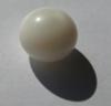 3.78 carats Oval Clam Pearl