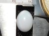14.80 carat natural clam pearl