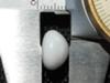 7.65 carat clam pearl