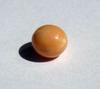 Conch Pearl 10mm Peachy Brown Color