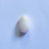Conch Pearl 11mm 3+ carats White Drop 