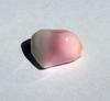 Conch Pearl 18 carats 28mm Pink and White