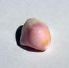Conch Pearl 18 carats 28mm Pink and White