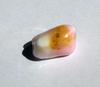 Conch Pearl 18 carats 28mm Pink and White