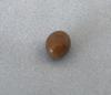 Conch pearl 2.06 ct Brown Oval for Sale