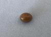 Conch pearl 2.06 ct Brown Oval for Sale
