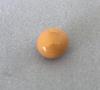 Conch Pearl 4.18 ct Roundish Yellow for Sale