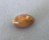 Conch Pearl 7.79 ct Brown Oval 14mm for Sale