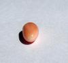 Conch Pearl 9mm Oval Peach Colored