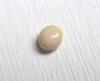 Conch Pearl Beige Button 5mm
