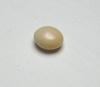 Conch Pearl Beige Button 5mm