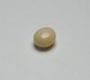 Conch Pearl Beige Button 5mm