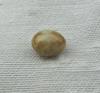 Conch Pearl Brownish Beige 6mm