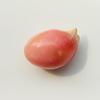 Conch Pearl Drop Shape Pink 6.26 carats