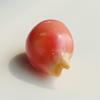 Conch Pearl Drop Shape Pink 6.26 carats