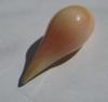 7.66 carats Natural Conch Pearl Drop Shape