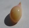 7.66 carats Natural Conch Pearl Drop Shape