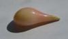7.66 carats Natural Conch Pearl Drop Shape