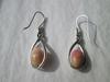 Conch Pearl Earrings on Sterling Silver 6+ Carats Total