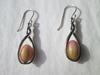 Conch Pearl Earrings on Sterling Silver 6+ Carats Total