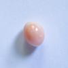 Conch Pearl Egg Shape Light Peach 3+ carat 8mm 
