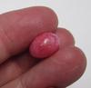 Conch Pearl Full Flame Pink 11 Carat 14mm