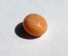 Conch Pearl Light Brown Oval 4+ carats 
