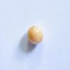 Conch Pearl Oval Beige 1+ carat 6mm