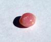 Conch Pearl Pink 1+ carats Oval Shape