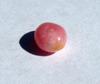 Conch Pearl Pink 1+ carats Oval Shape