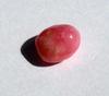 Conch Pearl Pink 7mm 1+ carats