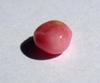Conch Pearl Pink 7mm 1+ carats