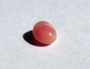 Conch Pearl Pink Button Shape