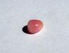 Conch Pearl Pink Button Shape