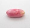 Conch Pearl Pink Variegated Oblong Shape 10mm