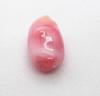 Conch Pearl Pink Variegated Oblong Shape 10mm